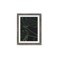 Picture of Tropical Palm Leaves I _GroupedProduct_Rectangle_Portrait_Framed_Matted_