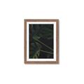 Picture of Tropical Palm Leaves I _GroupedProduct_Rectangle_Portrait_Framed_Matted_