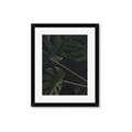 Picture of Tropical Palm Leaves I _GroupedProduct_Rectangle_Portrait_Framed_Matted_