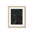 Picture of Tropical Palm Leaves I _GroupedProduct_Rectangle_Portrait_Framed_Matted_