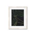 Picture of Tropical Palm Leaves I _GroupedProduct_Rectangle_Portrait_Framed_Matted_