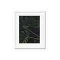 Picture of Tropical Palm Leaves I _GroupedProduct_Rectangle_Portrait_Framed_Matted_