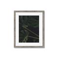 Picture of Tropical Palm Leaves I _GroupedProduct_Rectangle_Portrait_Framed_Matted_