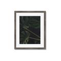 Picture of Tropical Palm Leaves I _GroupedProduct_Rectangle_Portrait_Framed_Matted_