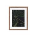 Picture of Tropical Palm Leaves I _GroupedProduct_Rectangle_Portrait_Framed_Matted_