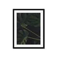 Picture of Tropical Palm Leaves I _GroupedProduct_Rectangle_Portrait_Framed_Matted_
