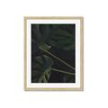 Picture of Tropical Palm Leaves I _GroupedProduct_Rectangle_Portrait_Framed_Matted_