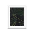 Picture of Tropical Palm Leaves I _GroupedProduct_Rectangle_Portrait_Framed_Matted_