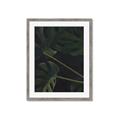 Picture of Tropical Palm Leaves I _GroupedProduct_Rectangle_Portrait_Framed_Matted_