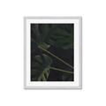 Picture of Tropical Palm Leaves I _GroupedProduct_Rectangle_Portrait_Framed_Matted_