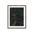 Picture of Tropical Palm Leaves I _GroupedProduct_Rectangle_Portrait_Framed_Matted_
