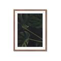 Picture of Tropical Palm Leaves I _GroupedProduct_Rectangle_Portrait_Framed_Matted_