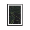 Picture of Tropical Palm Leaves I _GroupedProduct_Rectangle_Portrait_Framed_Matted_
