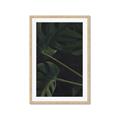 Picture of Tropical Palm Leaves I _GroupedProduct_Rectangle_Portrait_Framed_Matted_