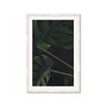 Picture of Tropical Palm Leaves I _GroupedProduct_Rectangle_Portrait_Framed_Matted_