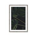 Picture of Tropical Palm Leaves I _GroupedProduct_Rectangle_Portrait_Framed_Matted_