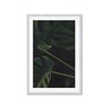Picture of Tropical Palm Leaves I _GroupedProduct_Rectangle_Portrait_Framed_Matted_