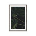 Picture of Tropical Palm Leaves I _GroupedProduct_Rectangle_Portrait_Framed_Matted_
