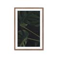 Picture of Tropical Palm Leaves I _GroupedProduct_Rectangle_Portrait_Framed_Matted_