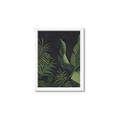 Picture of Tropical Palm Leaves II _GroupedProduct_Rectangle_Portrait_Framed_Matted_