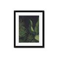 Picture of Tropical Palm Leaves II _GroupedProduct_Rectangle_Portrait_Framed_Matted_