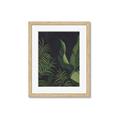 Picture of Tropical Palm Leaves II _GroupedProduct_Rectangle_Portrait_Framed_Matted_