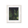 Picture of Tropical Palm Leaves II _GroupedProduct_Rectangle_Portrait_Framed_Matted_