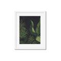 Picture of Tropical Palm Leaves II _GroupedProduct_Rectangle_Portrait_Framed_Matted_