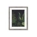 Picture of Tropical Palm Leaves II _GroupedProduct_Rectangle_Portrait_Framed_Matted_