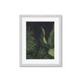 Picture of Tropical Palm Leaves II _GroupedProduct_Rectangle_Portrait_Framed_Matted_