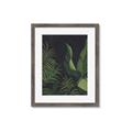 Picture of Tropical Palm Leaves II _GroupedProduct_Rectangle_Portrait_Framed_Matted_