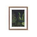 Picture of Tropical Palm Leaves II _GroupedProduct_Rectangle_Portrait_Framed_Matted_