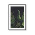 Picture of Tropical Palm Leaves II _GroupedProduct_Rectangle_Portrait_Framed_Matted_