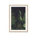 Picture of Tropical Palm Leaves II _GroupedProduct_Rectangle_Portrait_Framed_Matted_
