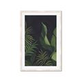 Picture of Tropical Palm Leaves II _GroupedProduct_Rectangle_Portrait_Framed_Matted_