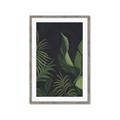 Picture of Tropical Palm Leaves II _GroupedProduct_Rectangle_Portrait_Framed_Matted_