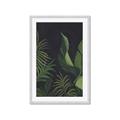 Picture of Tropical Palm Leaves II _GroupedProduct_Rectangle_Portrait_Framed_Matted_
