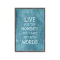 Picture of Live For The Moments II _GroupedProduct_Rectangle_Portrait_Framed_Matted_