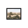 Picture of Desert Greens _GroupedProduct_Rectangle_Landscape_Photography _GroupedProduct_Rectangle_Landscape_Framed_Matted_