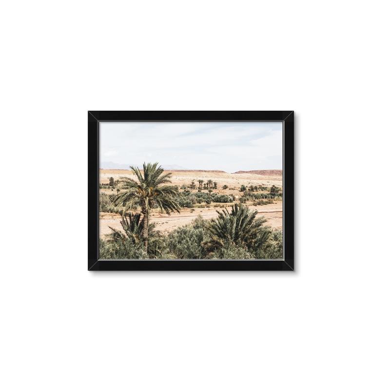 Picture of Desert Greens _GroupedProduct_Rectangle_Landscape_Photography _GroupedProduct_Rectangle_Landscape_Framed_Matted_