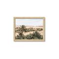 Picture of Desert Greens _GroupedProduct_Rectangle_Landscape_Photography _GroupedProduct_Rectangle_Landscape_Framed_Matted_