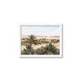 Picture of Desert Greens _GroupedProduct_Rectangle_Landscape_Photography _GroupedProduct_Rectangle_Landscape_Framed_Matted_