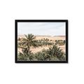 Picture of Desert Greens _GroupedProduct_Rectangle_Landscape_Photography _GroupedProduct_Rectangle_Landscape_Framed_Matted_