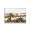 Picture of Desert Greens _GroupedProduct_Rectangle_Landscape_Photography _GroupedProduct_Rectangle_Landscape_Framed_Matted_