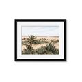 Picture of Desert Greens _GroupedProduct_Rectangle_Landscape_Photography _GroupedProduct_Rectangle_Landscape_Framed_Matted_