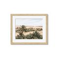 Picture of Desert Greens _GroupedProduct_Rectangle_Landscape_Photography _GroupedProduct_Rectangle_Landscape_Framed_Matted_