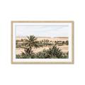 Picture of Desert Greens _GroupedProduct_Rectangle_Landscape_Photography _GroupedProduct_Rectangle_Landscape_Framed_Matted_