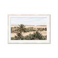 Picture of Desert Greens _GroupedProduct_Rectangle_Landscape_Photography _GroupedProduct_Rectangle_Landscape_Framed_Matted_
