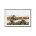Picture of Desert Greens _GroupedProduct_Rectangle_Landscape_Photography _GroupedProduct_Rectangle_Landscape_Framed_Matted_