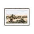 Picture of Desert Greens _GroupedProduct_Rectangle_Landscape_Photography _GroupedProduct_Rectangle_Landscape_Framed_Matted_